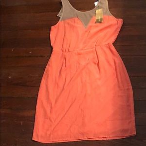 Francesca’s Dress. Size L